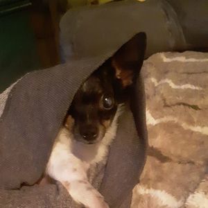 Meet your Posher, Wendy